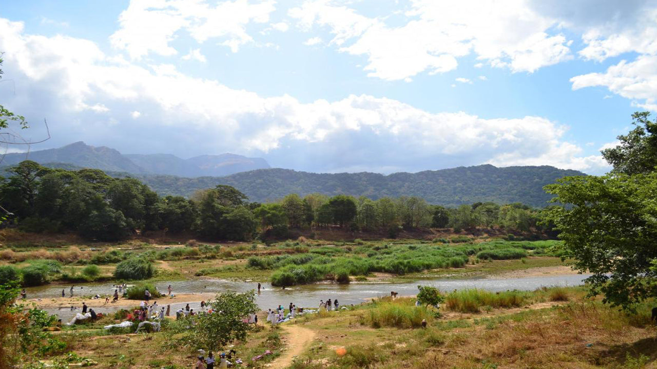 Mahiyanganya and Dambana Day Tour from Kandy