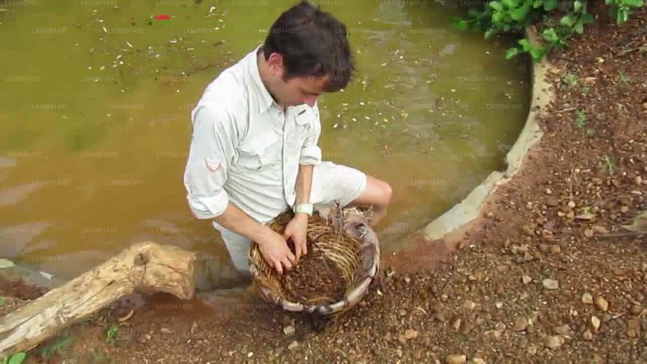 从拉维尼亚山探索拉特纳普勒的宝石矿