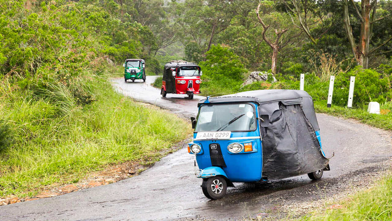 来自 Ella 的 Tuk Tuk 冒险