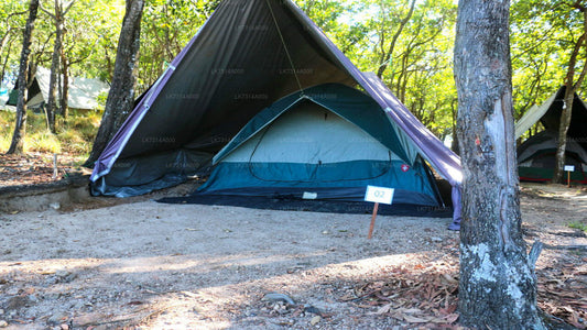 One Night Camping in Yala National Park