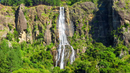 Hike to Bambarakanda Waterfall from Ella