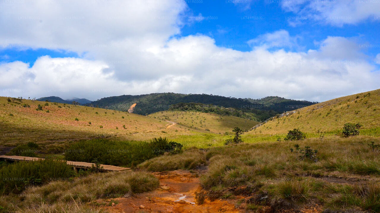 Hike to Kirigalpoththa Mountain Range via Horton Plains