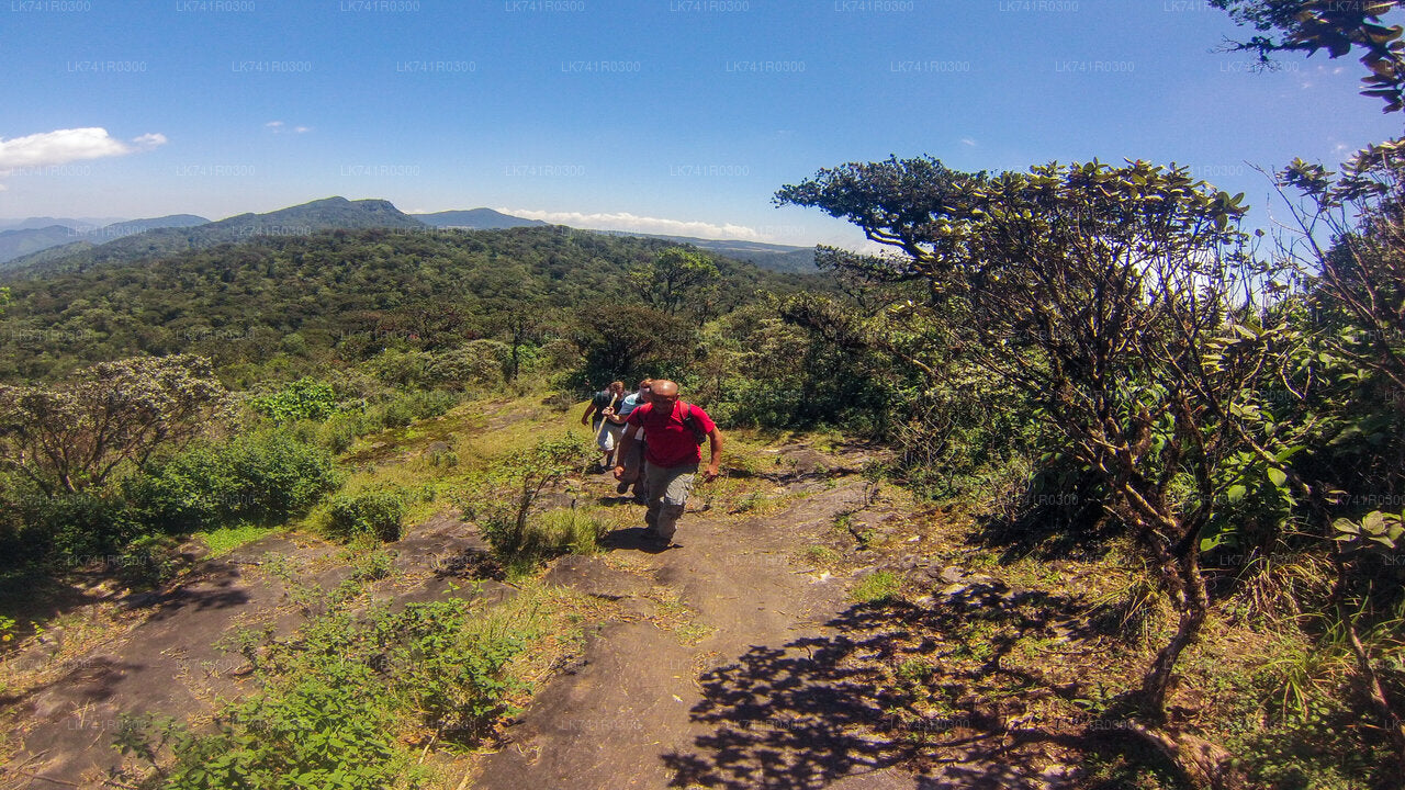 Hike to Kirigalpoththa Mountain Range via Horton Plains