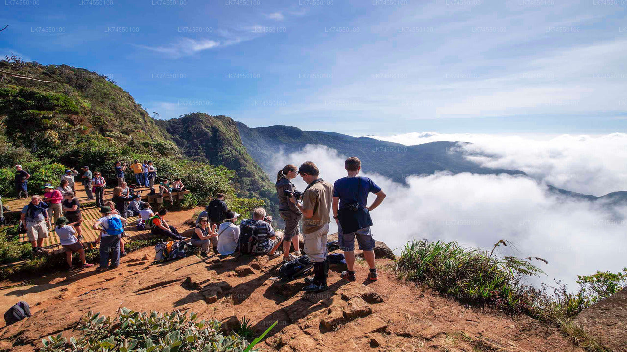 Hike to Horton Plains Border via Rail Tracks from Pattipola