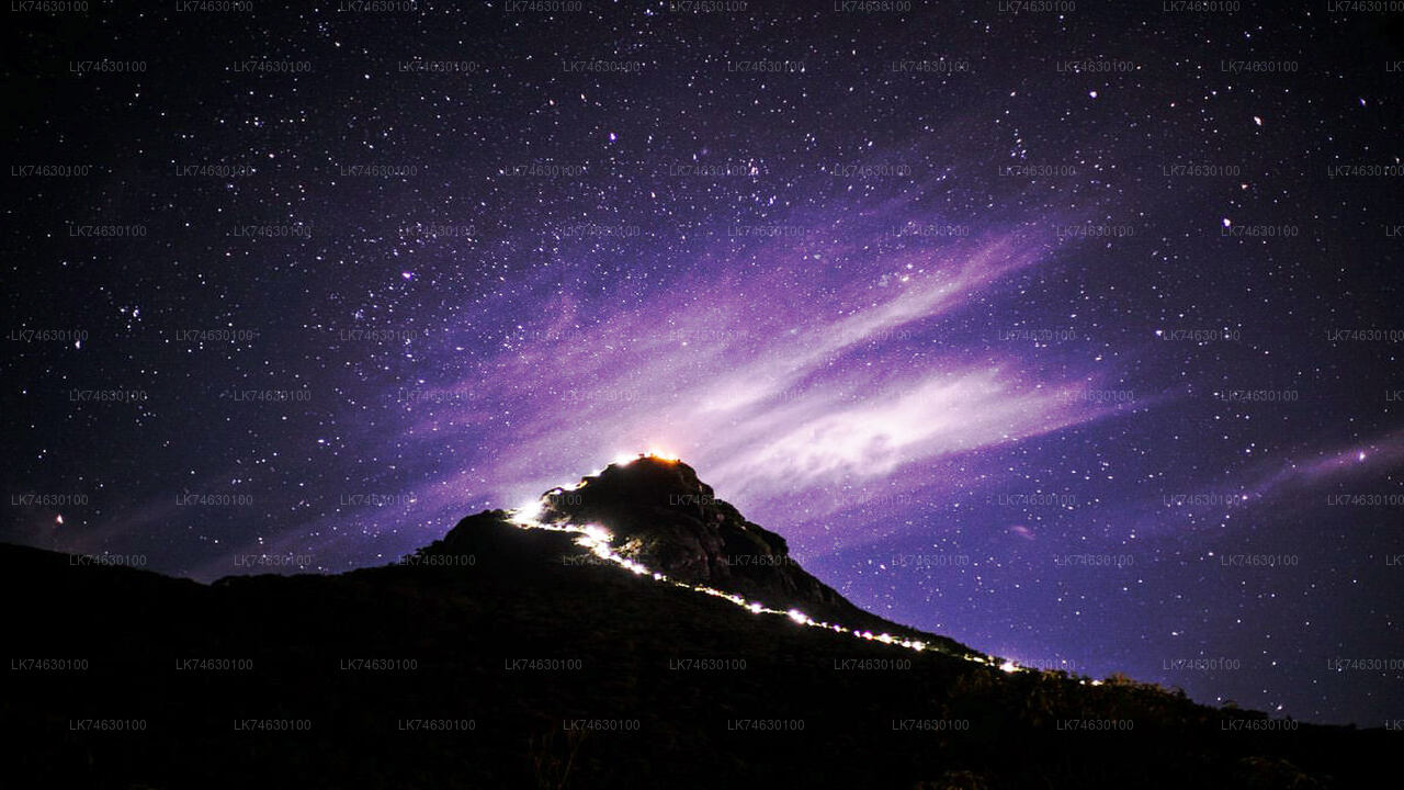 Night Hike to Adam's Peak from Nallathanniya