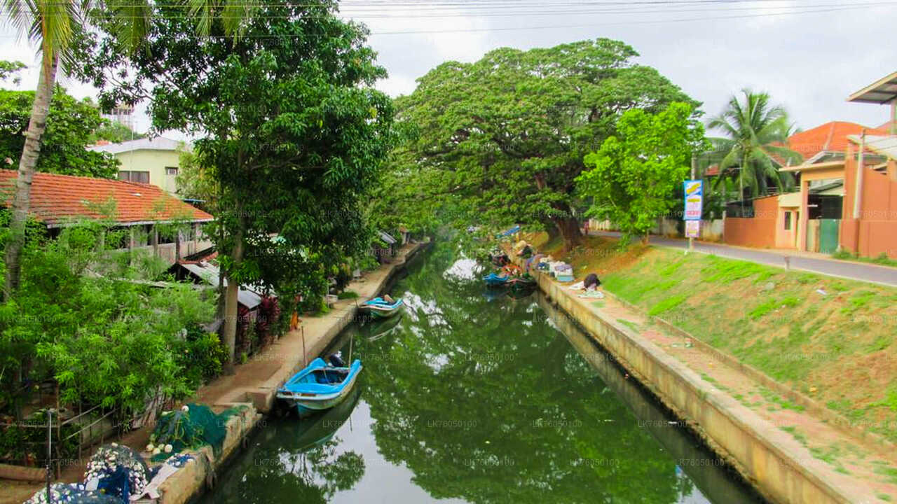 Dutch Canal Boat Tour from Negombo