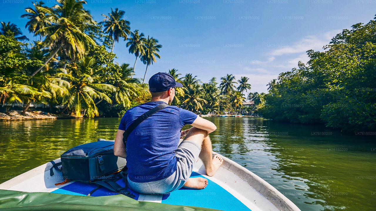 Mangrove Forest Boat Tour from Kalpitiya