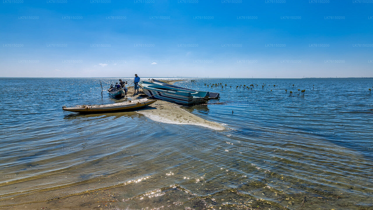 Mangrove Forest Boat Tour from Kalpitiya