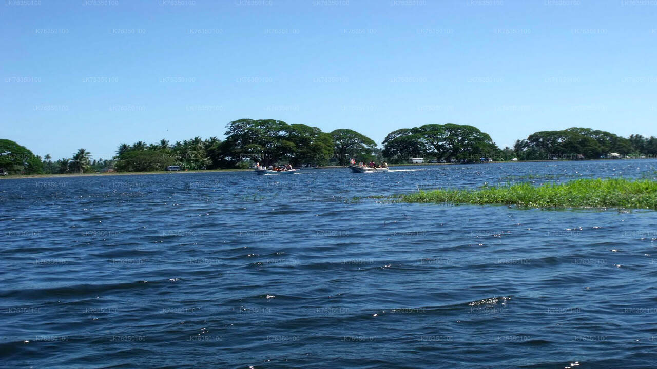 在 Tissamaharama Lake 乘船游览