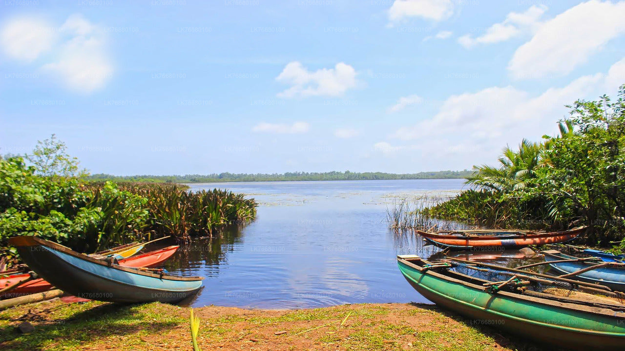 River Safari from Bolgoda Lake