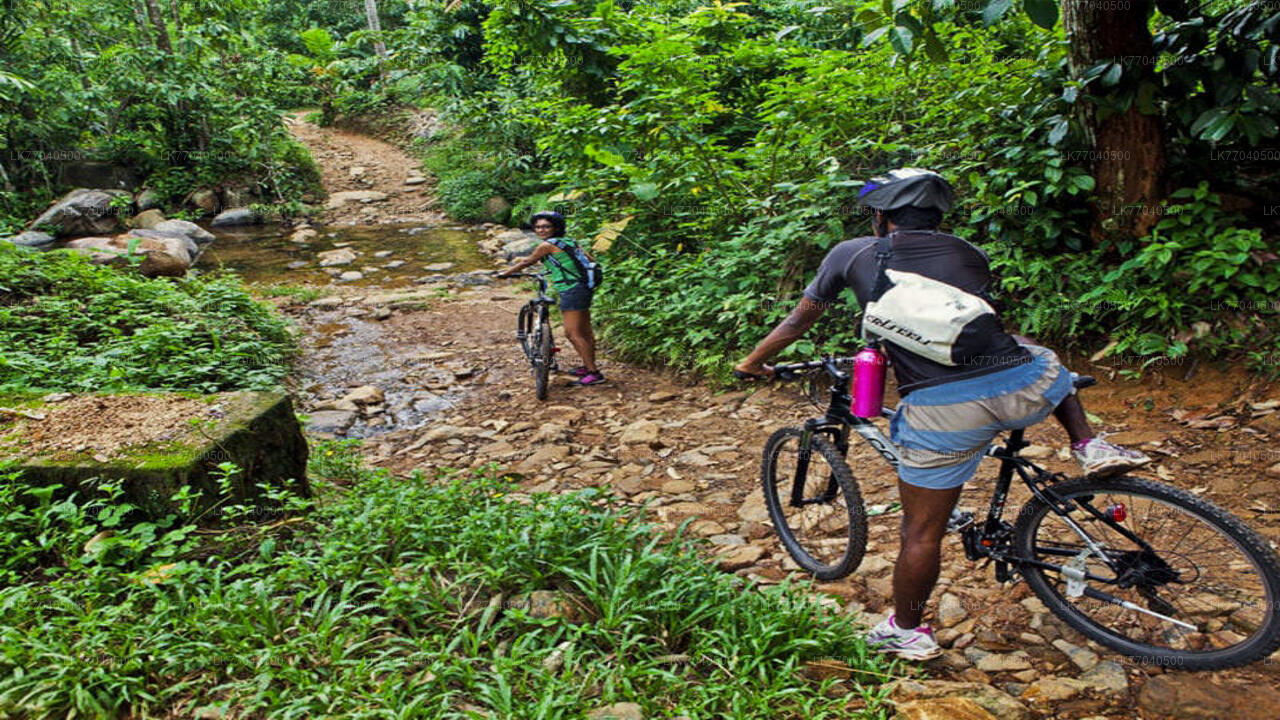 Mountain Biking from Galle