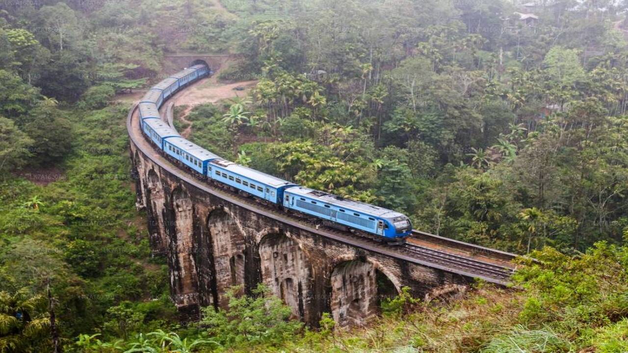 乘坐科伦坡到巴杜拉的火车（列车编号：1005 “Podi Menike”）