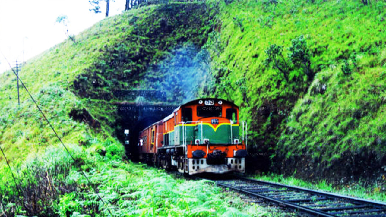 Colombo to Nanu Oya train ride on (Train No: 1015 "Udarata Menike")