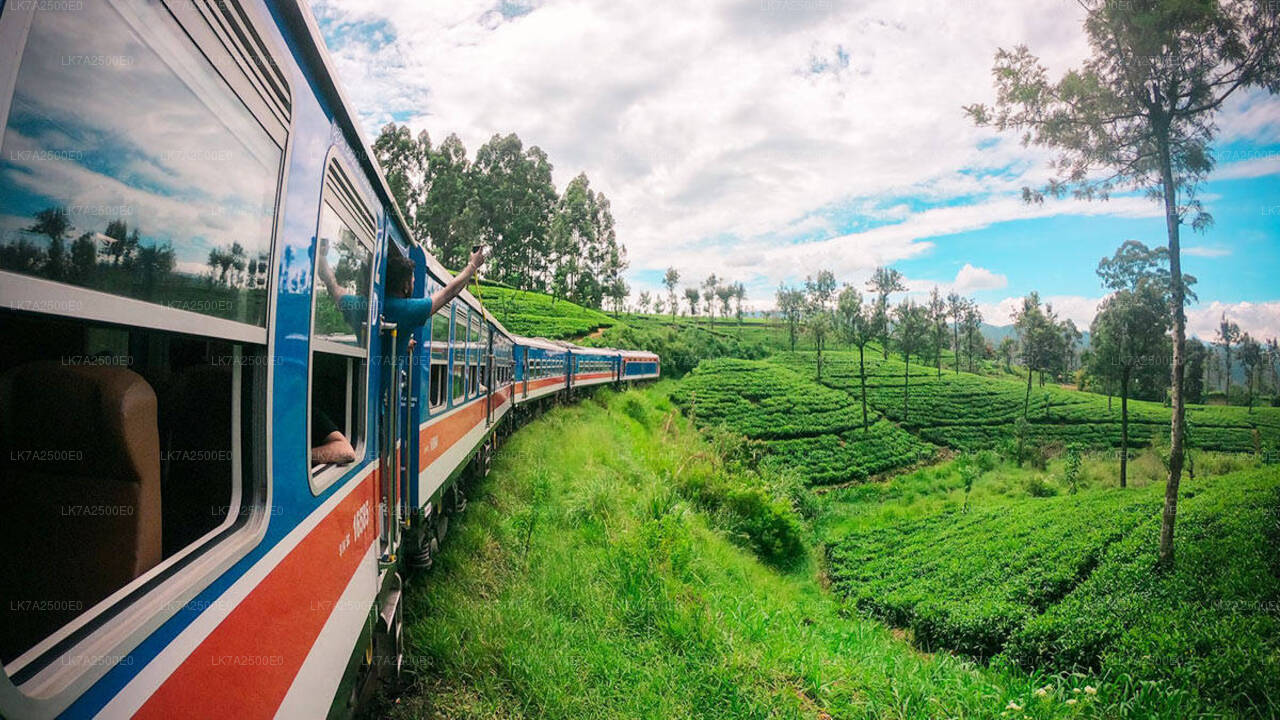 乘坐 Peradeniya 到 Ella 的火车（列车编号：1001 “Denuwara Menike”）