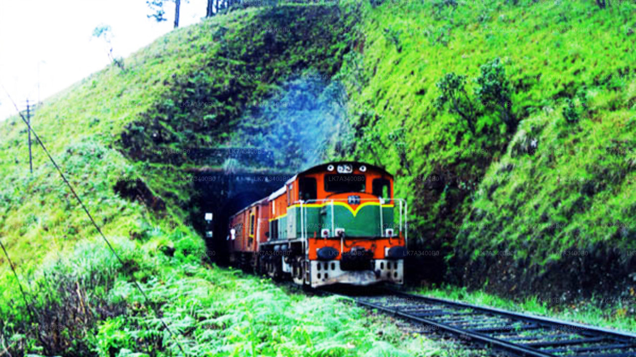 乘坐 Kandy 到 Nanu Oya 的火车（列车编号：1015 “Udarata Menike”）